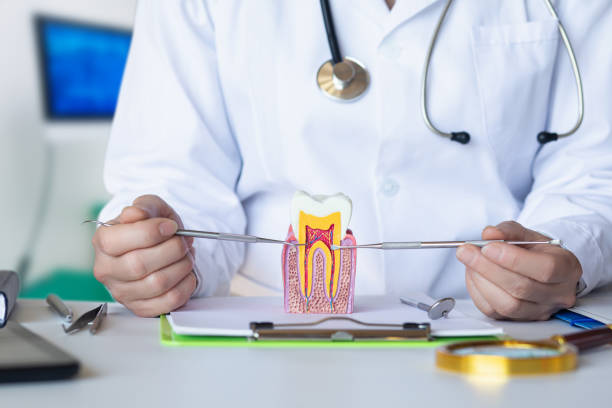 Best Emergency Care for Gum Disease in Mendon, IL